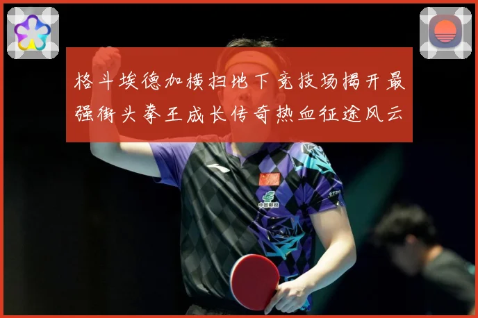 格斗埃德加横扫地下竞技场揭开最强街头拳王成长传奇热血征途风云录解析