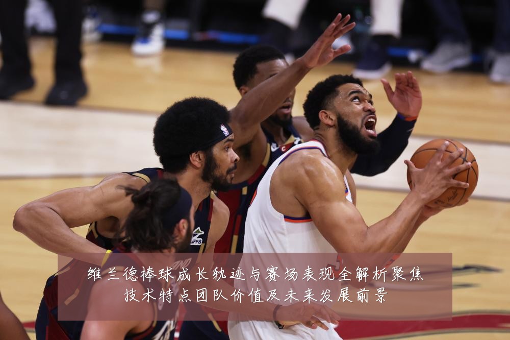 维兰德棒球成长轨迹与赛场表现全解析聚焦技术特点团队价值及未来发展前景