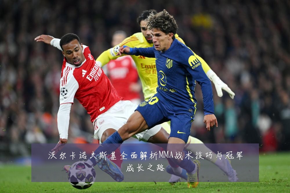 沃尔卡诺夫斯基全面解析MMA战术技巧与冠军成长之路